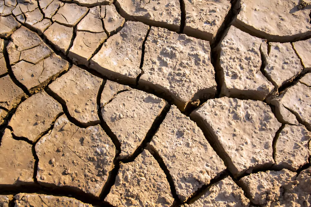 Les défis de la salinité des sols : rôle et efficacité des correcteurs